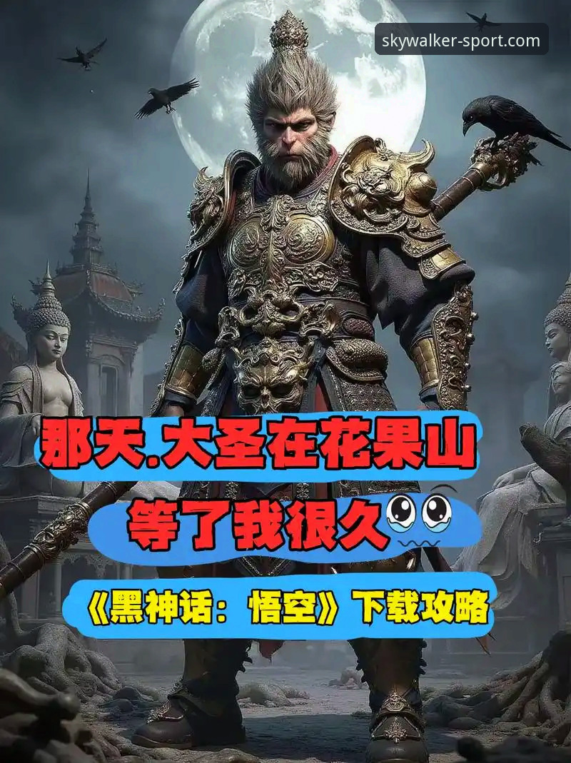 悟空体育怎么下载使用技巧详解